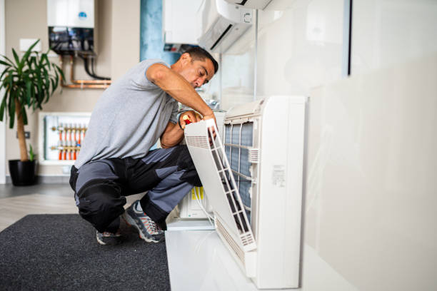 Best Air Duct Inspection  in Waverly, MI