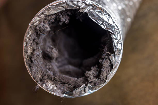 Best Commercial Air Duct Cleaning  in Waverly, MI