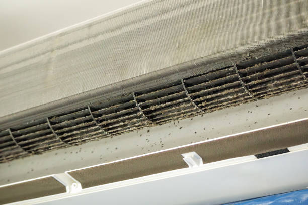 Best Professional Duct Cleaning Services  in Waverly, MI