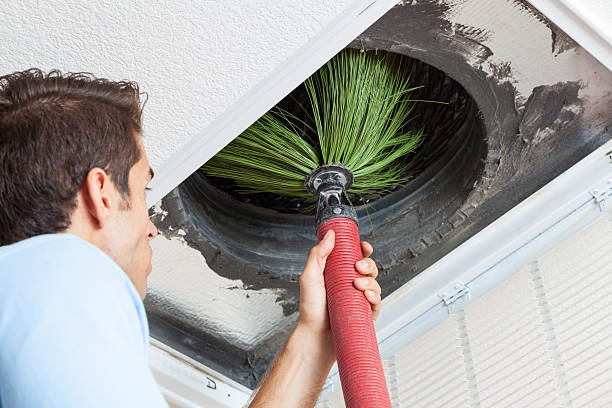 Best Dryer Vent Cleaning Services  in Waverly, MI