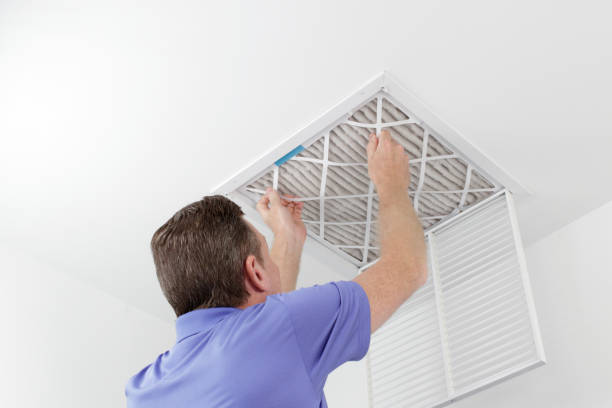 Best Air Duct Mold Removal  in Waverly, MI